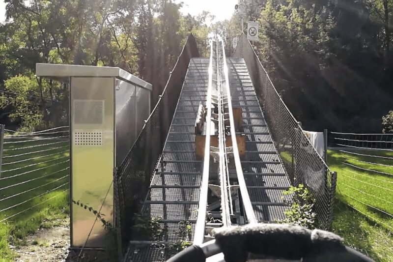 Berlin: Nature Bobsled Run Ticket - Comparing This Activity to Other Berlin Attractions