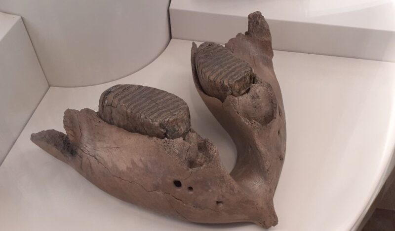 Berlin: Neukölln Walking Tour - The Guide: An Enthusiastic Neukölln Advocate