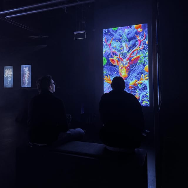 Berlin: P61 Gallery - Limited Time and Viewing Experience