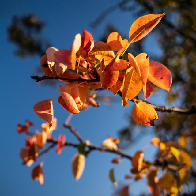 Berlin: Photo course Landschafts- & Naturfotografie - Personalized Support for Camera Settings and Composition
