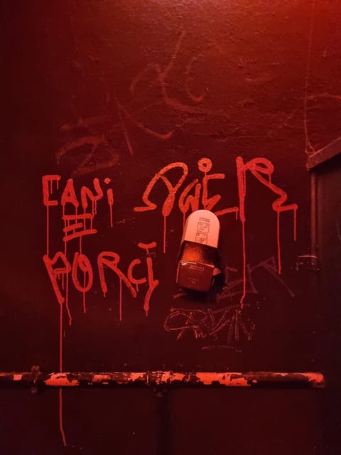 Berlin: Premium Underground Party Tour - How This Tour Stands Out From Other Berlin Nightlife Experiences