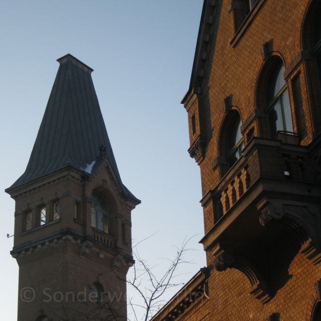 Berlin: Prenzlauer Berg District Guided Walking Tour - Walking Through Mauerpark and Bernauer Straße