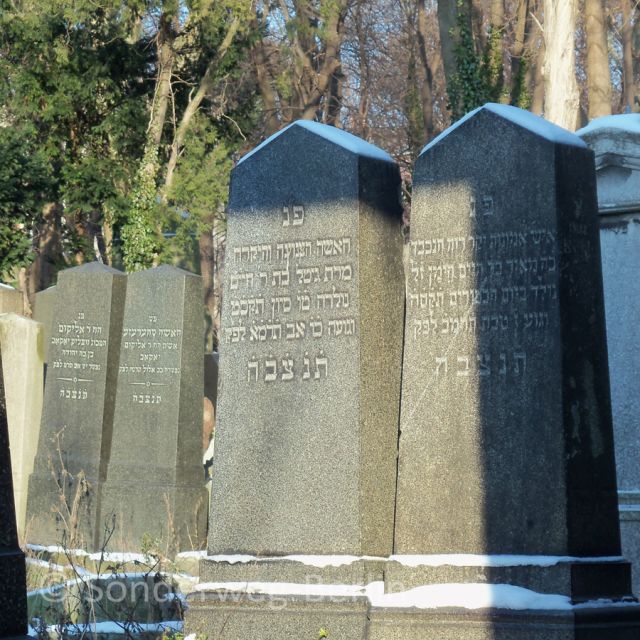 Berlin: Prenzlauer Berg District Guided Walking Tour - Value for Money and Insider Tips