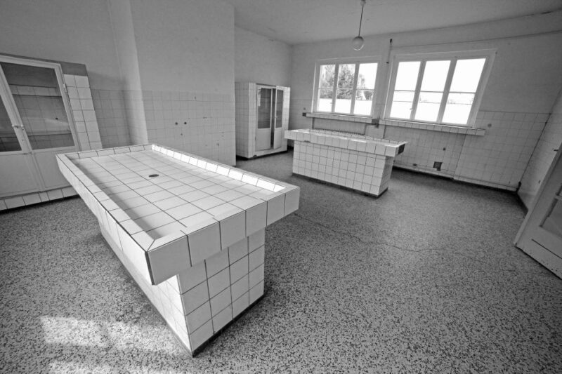 Berlin: Sachsenhausen Memorial Day Small-Group Tour - Weather and Physical Considerations