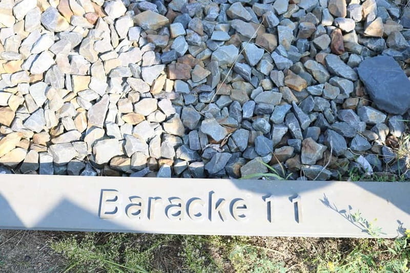 Berlin: Sachsenhausen Memorial Survivor Stories in German - The Impact of Survivor Testimonies in the Tour