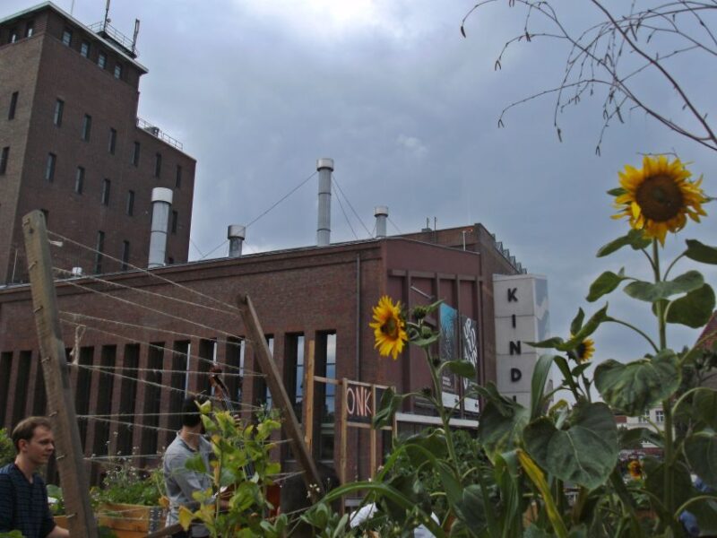 Berlin: Schillerkiez and Rollberg Walking Tour - Practicalities and Group Size