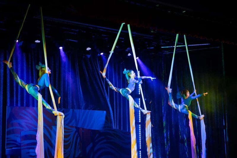 Berlin: Snow White - Children Variety Show Ticket - What Makes the Snow White Show Unique in Berlin