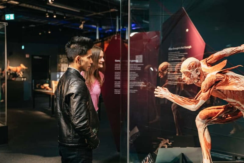 Berlin: Tickets for the BODY WORLDS Museum in Berlin - Key Points