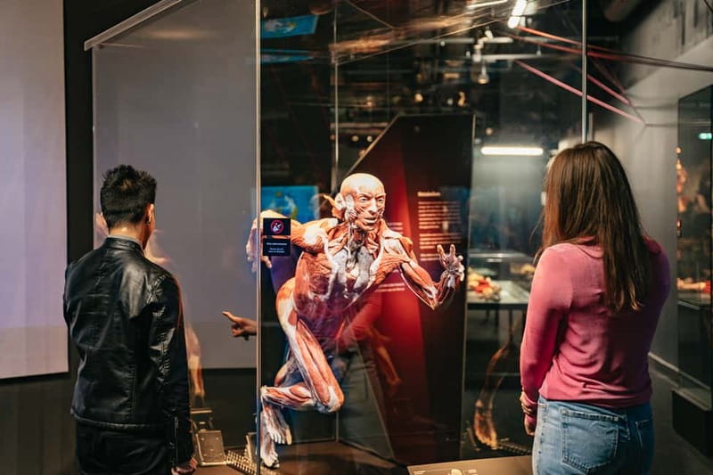 Berlin: Tickets for the BODY WORLDS Museum in Berlin - Review Highlights: What Visitors Appreciate Most