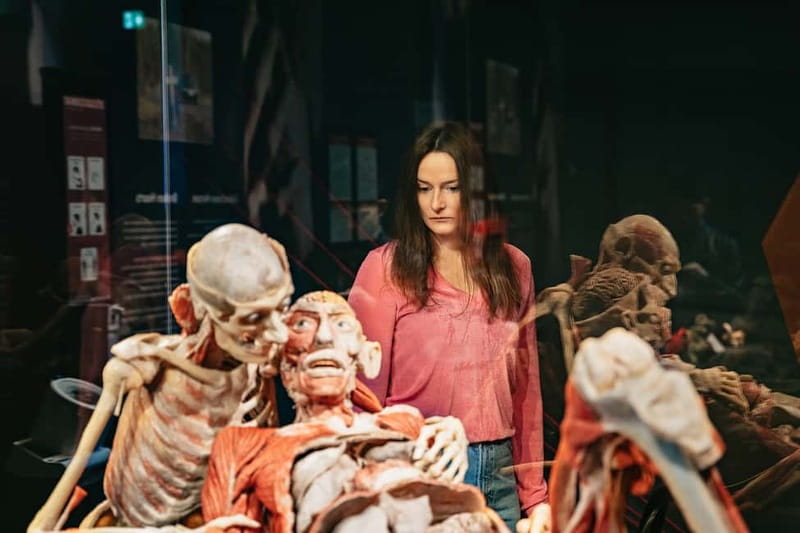 Berlin: Tickets for the BODY WORLDS Museum in Berlin - Who Will Most Appreciate the Berlin BODY WORLDS Tour