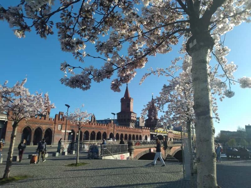 Berlin Wall: Short History & Art Tour at the East Side Gallery - Practical Details: Meeting Point, Accessibility, and Group Options