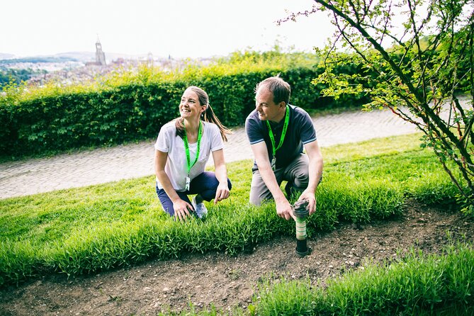 Bern Foxtrail slate - Explore Bern’s Historic Charm with the Foxtrail Slate