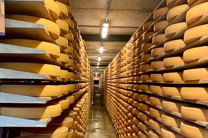 Bern Private Tour - Gruyères , Cheese, and Lavaux's UNESCO Wine - Exclusive Wine Tasting at the Lavaux Vineyard Estate