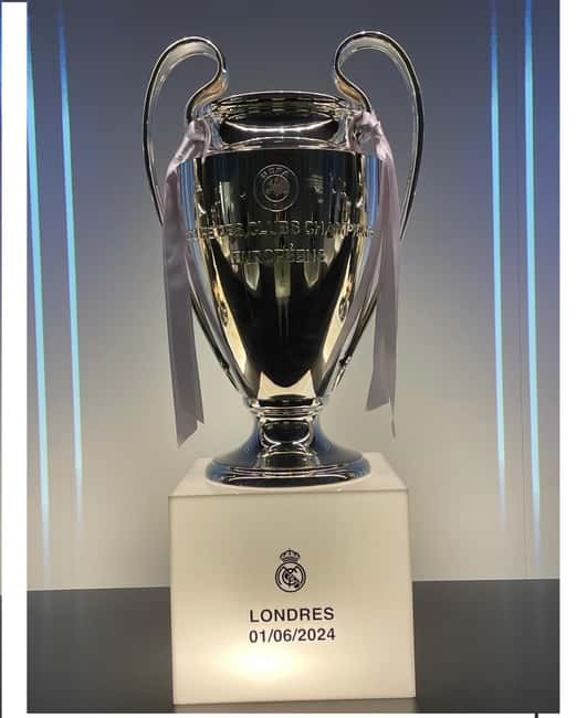 Bernabéu Premium Guided Tour: Passion, Trophies, & the Heart of Real Madrid - Guides and Visitor Experience