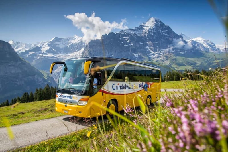 Berner Oberland: Swiss Half Fare & STS Holder 2nd Class Pass - Key Points