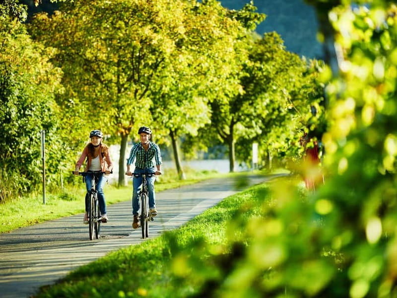 Bernkastel-Kues, Moselle: Bicycle picnic boat tour with wine tasting - Discover the Charm of Rhineland-Palatinate with a Bicycle and Boat Tour