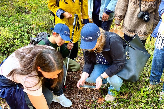 Berry Picking in a National Park - The Forest Walk and Berry-Picking Experience