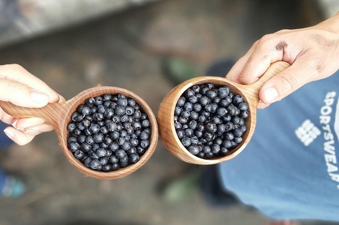 Berry Picking in a National Park - Lakeside Campfire and Finnish-Style Lunch