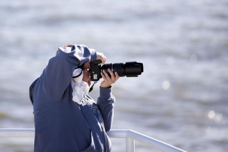 Berthier-sur-Mer: 1000 Razorbill Penguins Observation Cruise - Learning from Experienced Guides and Captains