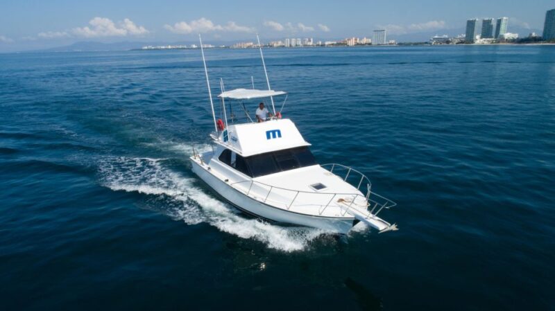 Bertram 38' Convertible Boat in Puerto & Nuevo Vallarta - Key Points