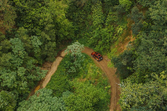 Bespoke adventure in Madeira with pick-up - Cancellation Policy and Weather Considerations