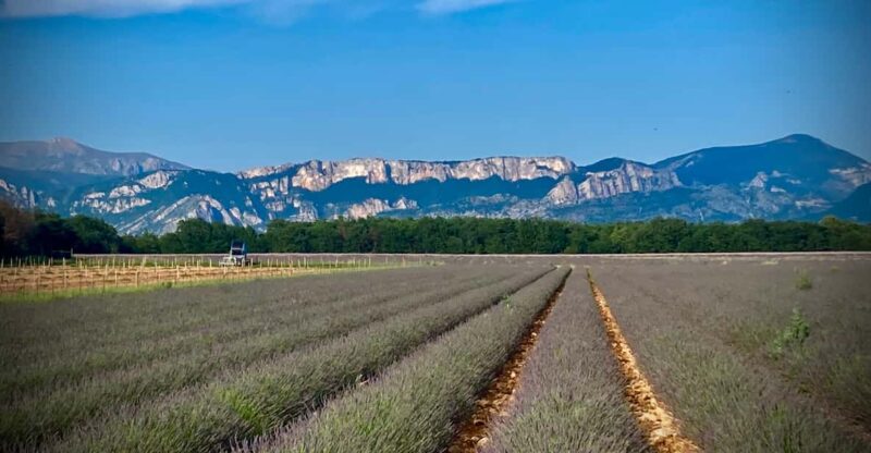 Bespoke Luxury Sightseeing Experiences - The Flexibility and Personalization of the Tour