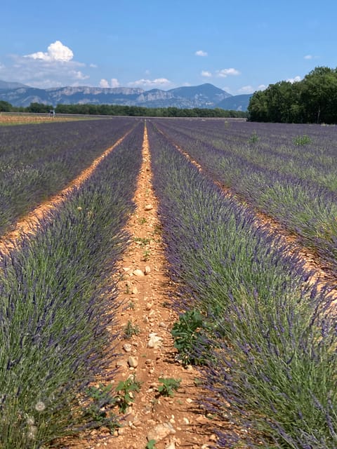 Bespoke Luxury Sightseeing Experiences - Engage in Unique Activities and Scenic Experiences