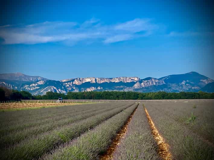 Bespoke Luxury Sightseeing Experiences - Who Will Enjoy This Experience Most