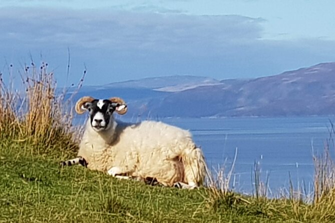Bespoke Private Tours of Scotland and the Borders - Scottish Castles, Lochs, and Historic Sites