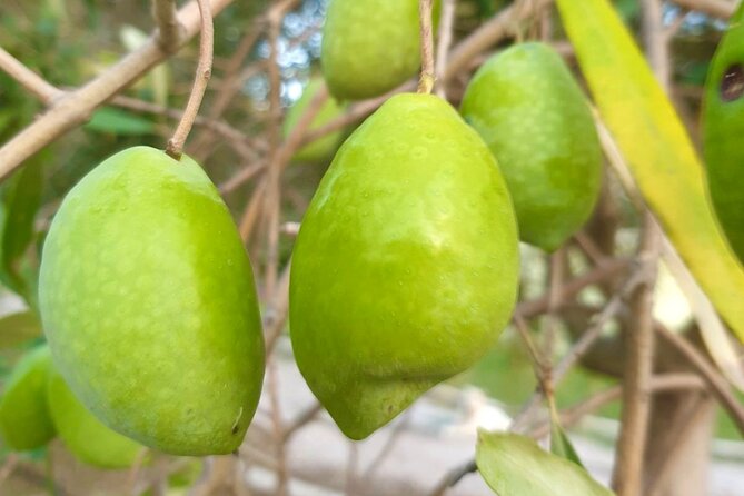 Best Corfu Tour with Boat Trip & Old Town for Cruise Passengers - The Palace of St. Michael and St. George: A Neo-Classical Landmark