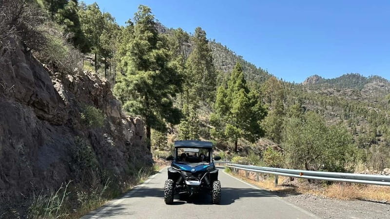 BEST FAMILY & FRIENDS FUN BUGGY TOUR - Driving Requirements and Safety Rules