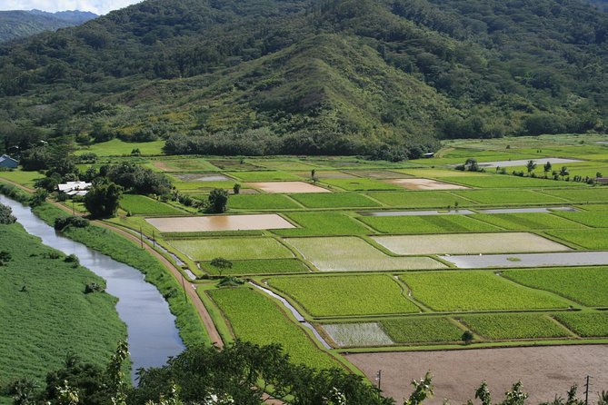Best Kauai Northeast, Fern Grotto River Cruise & Lighthouse Tour - Practical Details and Group Size
