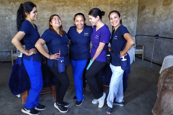 Best Massage in Ensenada & Mobile to Valle de Guadalupe - The Value for Money and Booking Process