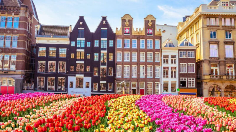 Best of Amsterdam: Private Walking Tour with a Local - Explore Amsterdam with a Friendly Local Guide for $55