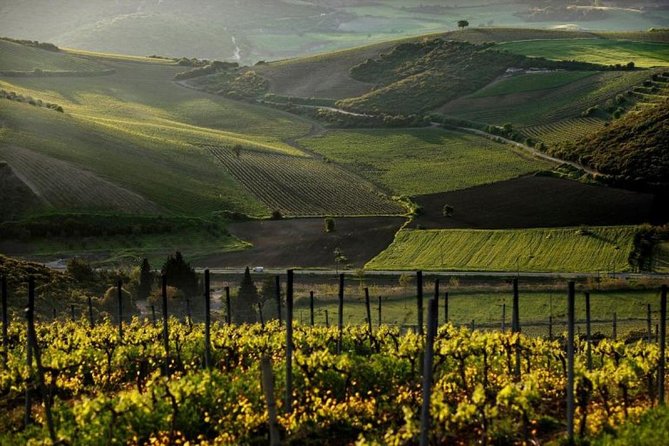 Best of Athens: Private Guided Half-Day Tour & Shore Excursion - Visiting the Acropolis and Its Iconic Monuments