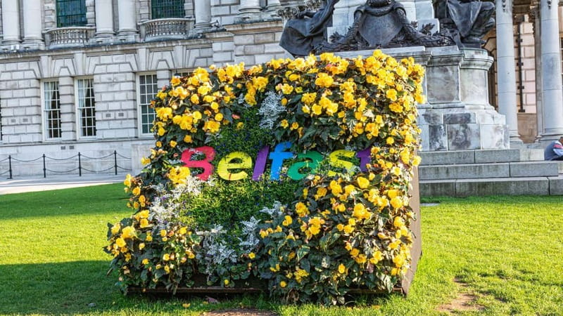 Best of Belfast: Private Walking Tour with a Local - Key Points