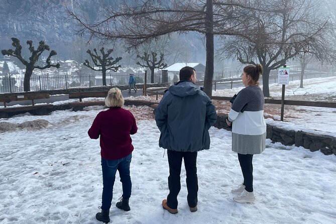 Best of Bernese Oberland & Swiss Countryside Tour - Discovering Interlaken Between Two Lakes