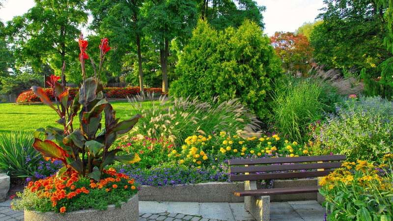 Best of Brampton: Private Walking Tour with a Local - Scenic Walk Along the Etobicoke Creek Trail