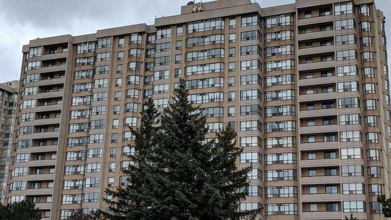 Best of Brampton: Private Walking Tour with a Local - Discovering Brampton’s Diverse Culinary Scene