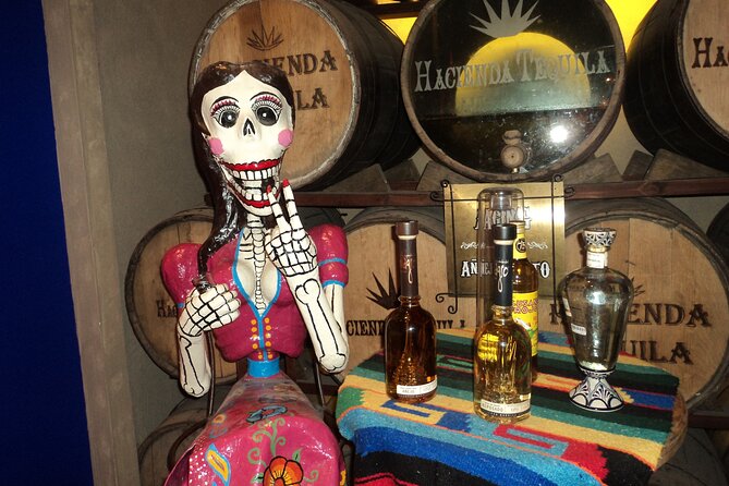 Best of Cabo Highlights 6x1 - Visiting El Arco and Sea Lion Colony at Lands End