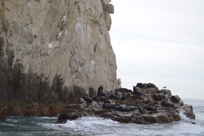 Best of Cabo Highlights 6x1 - Downtown Cabo: Tequila Tasting, Shopping, and Glass Factory Visit