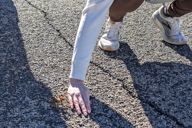 Best of Death Valley Small Group Day Tour from Las Vegas - Inside the Death Valley Visitor Center