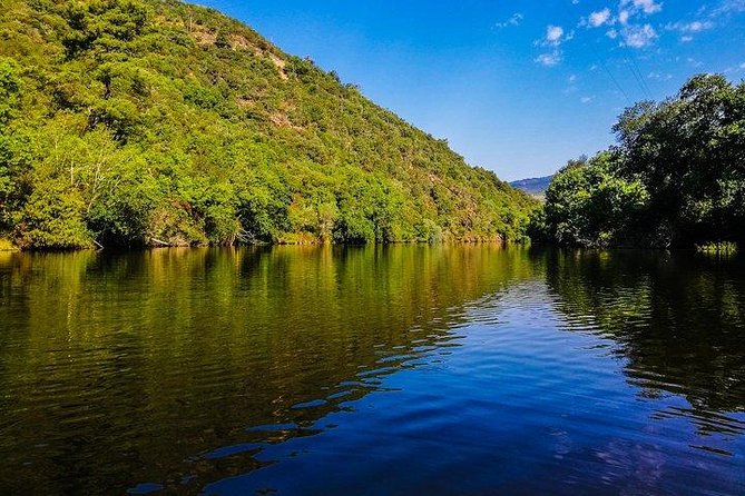 Best of Douro Valley Wine Full Day Private Tour - Discover the Best of Douro Valley with a Private Guide