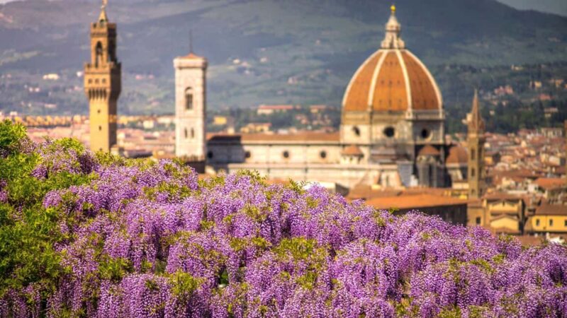 Best of Florence: Private Walking Tour with a Local - Practical Details: Meeting Point and Accessibility