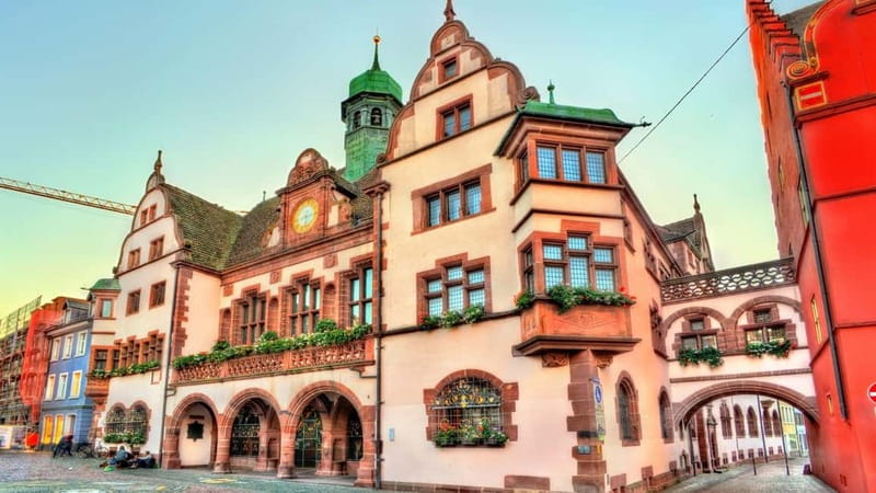 Best of Freiburg: Private Walking Tour with a Local - Key Points