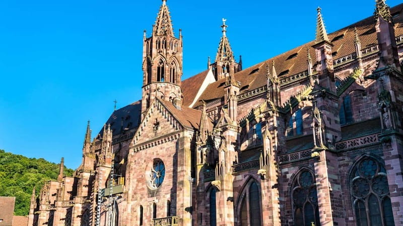 Best of Freiburg: Private Walking Tour with a Local - Starting at Münsterplatz: The Heart of Freiburgs Old Town