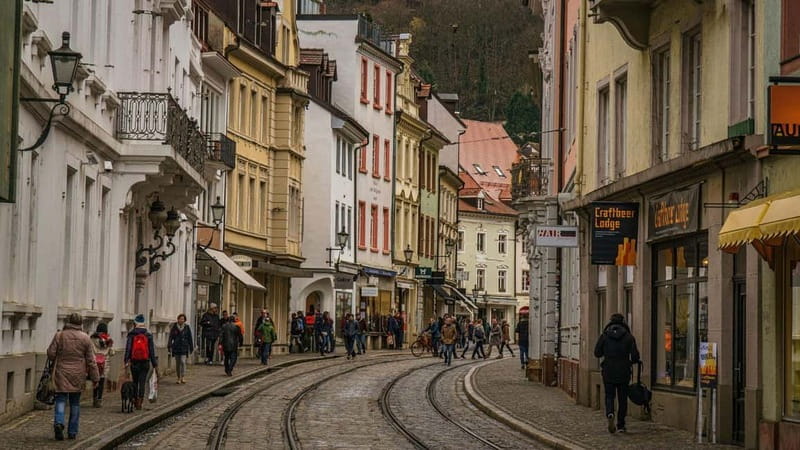 Best of Freiburg: Private Walking Tour with a Local - Schlossberg Hill: Panoramic Views and Relaxing Trails