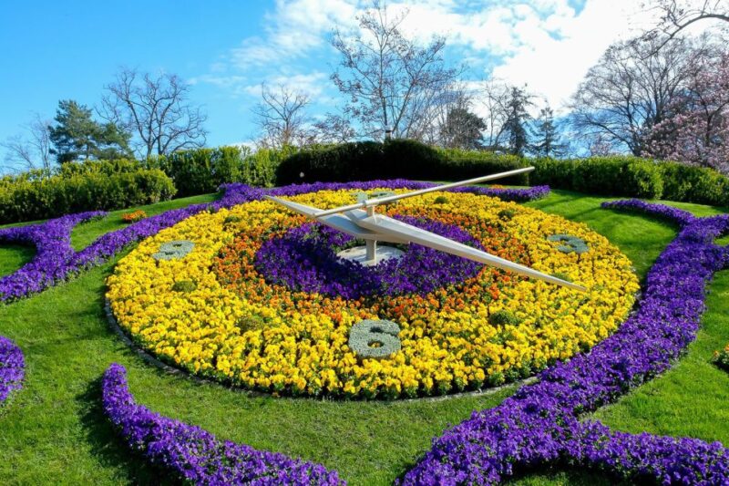 Best of Geneva City Tour: International Area and Old Town - The Flower Clock and Its Symbolism
