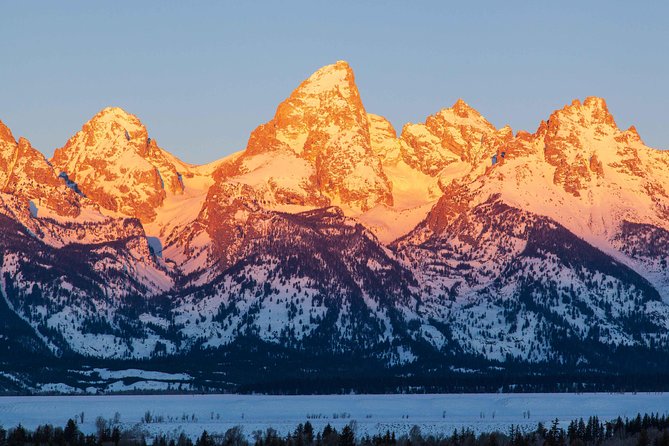 Best of Jackson Hole Wildlife Safari Tour - Included Amenities and Practical Details