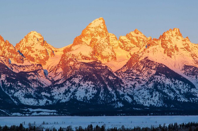 Best of Jackson Hole Wildlife Safari Tour - Final Thoughts: An Immersive Winter Wildlife Adventure